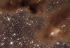 Ced 33 crop
