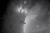 Orion Ha