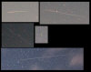 Perseid colors