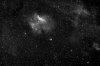 Sh2-135 Ha
