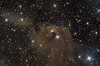 Sh2-238