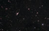 Arp 157  NGC 520 Galaxy in Pisces