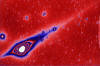 c2022 E3 ZTF