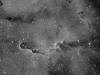IC1396_Ha (vdB142) Emmision nebula in Cepheus