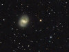 M91 crop