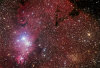 NGC 2264