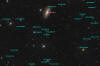 NGC 2841 Galaxy in Ursa Major