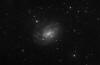 NGC 300 Galaxy in Sculptor