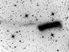 NGC 3628 inverted