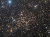NGC 7142 open cluster in Cepheus
