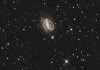 NGC 7479 cropped