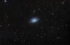 NGC 7793 Spiral galaxy in Sculptor