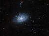 NGC 7793 Spiral galaxy in Sculptor