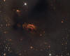 Sh2-239 Emission nebula in Taurus